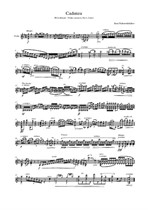 Cadenza (W. A. Mozart - Violin concerto No.3, I mvt)